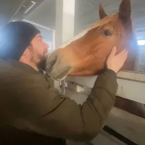 Фото: Ахметов Данис Марселевич